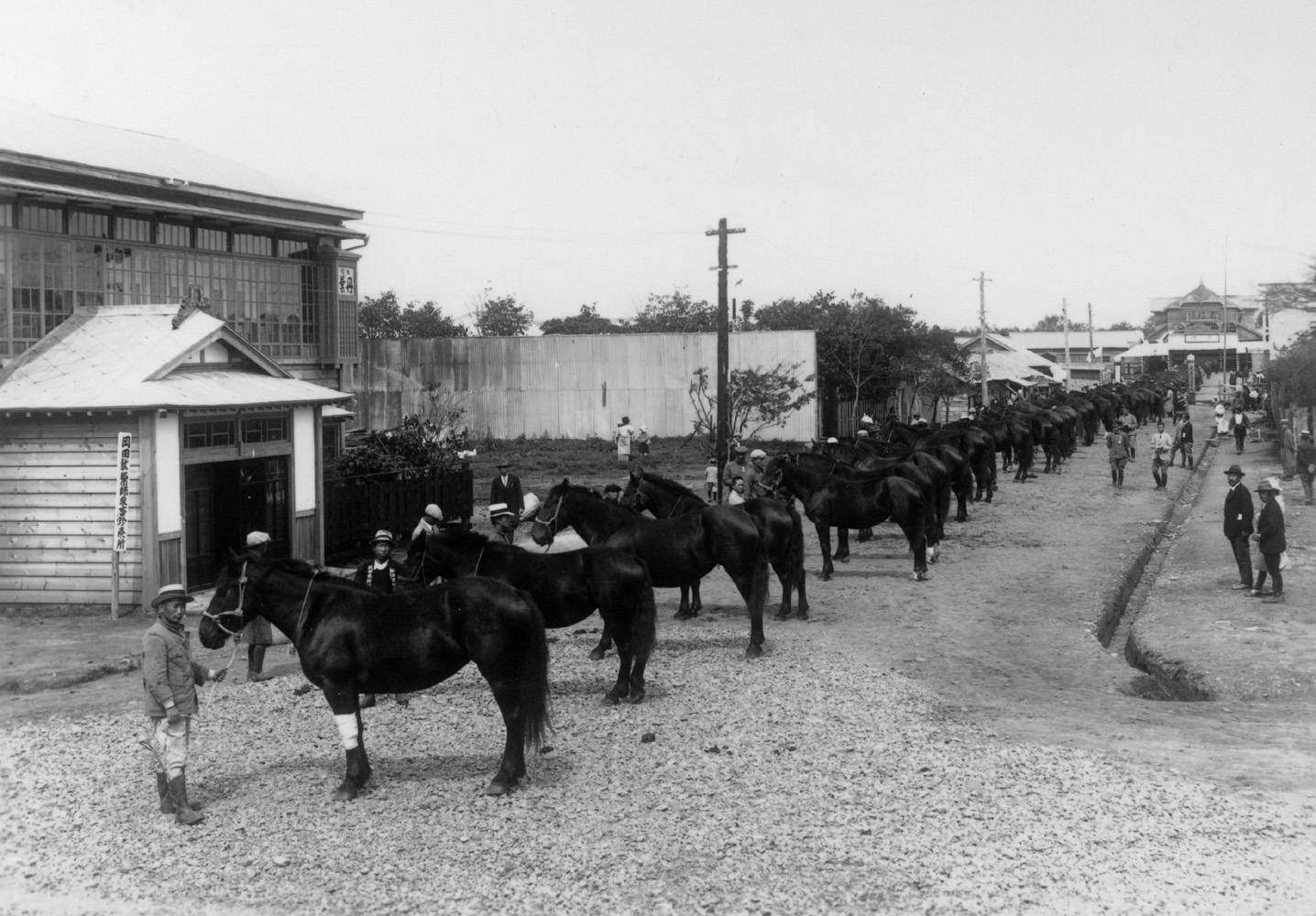 釧路の馬産時代の風景