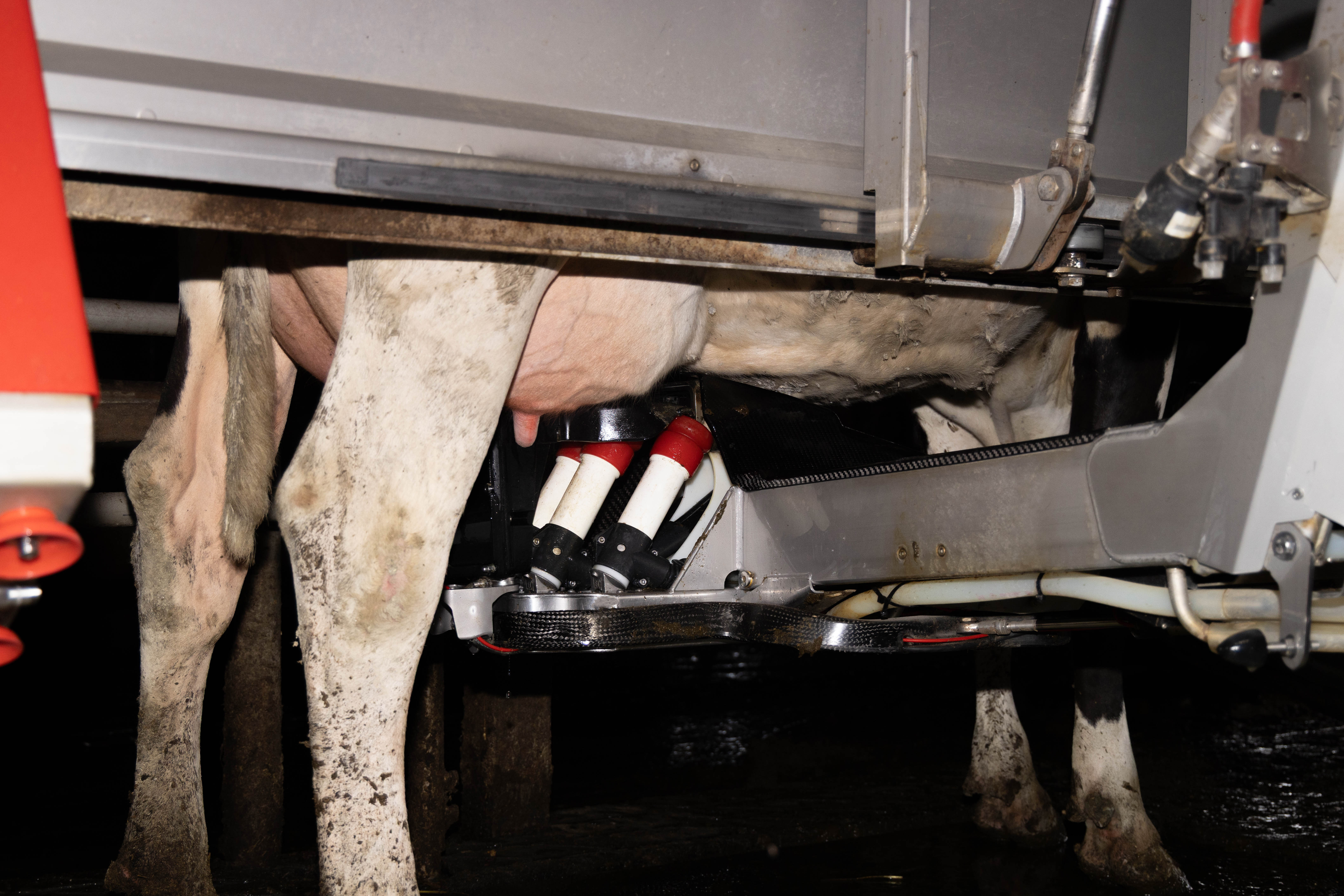 最新のロボット搾乳システム