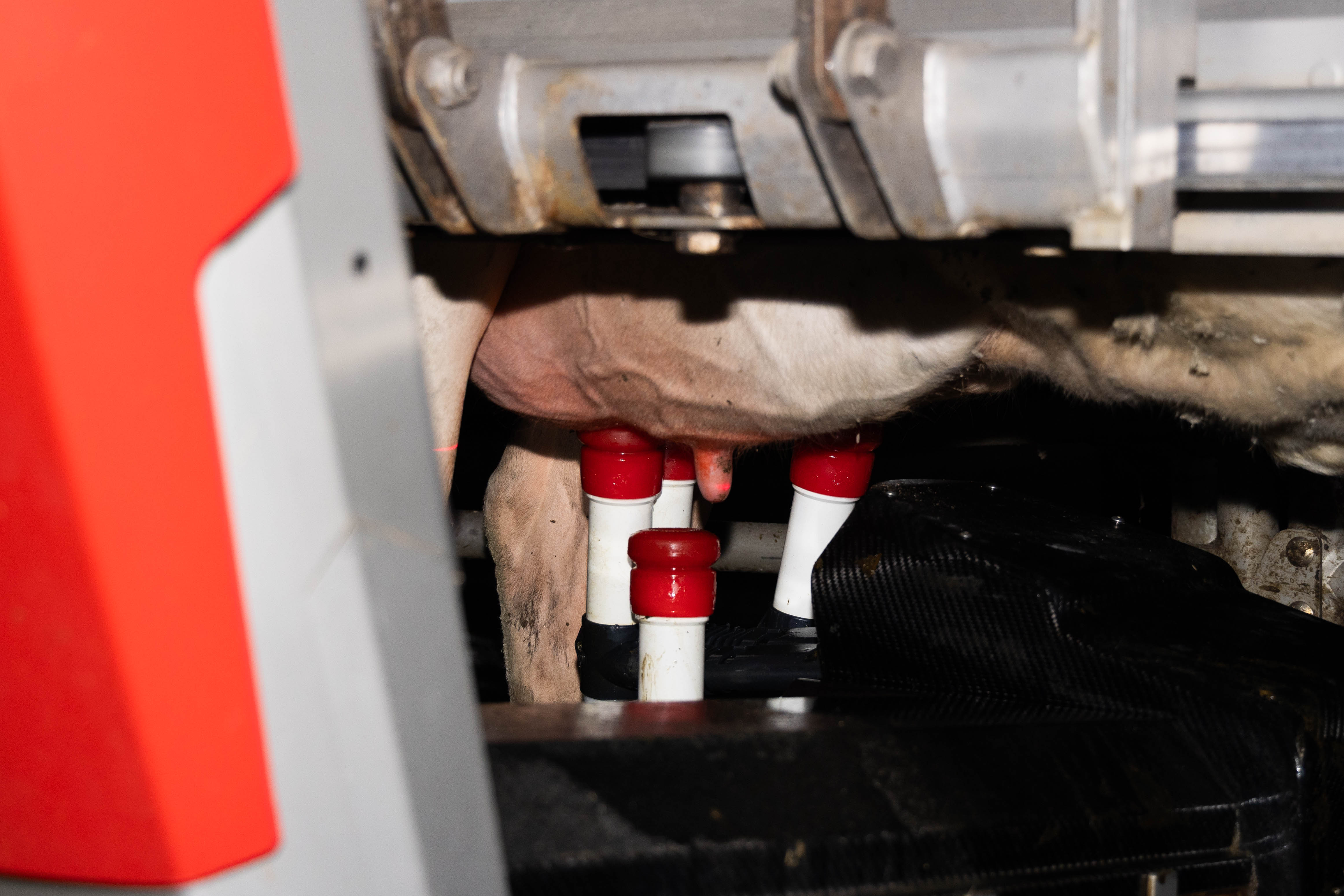 データ管理システム