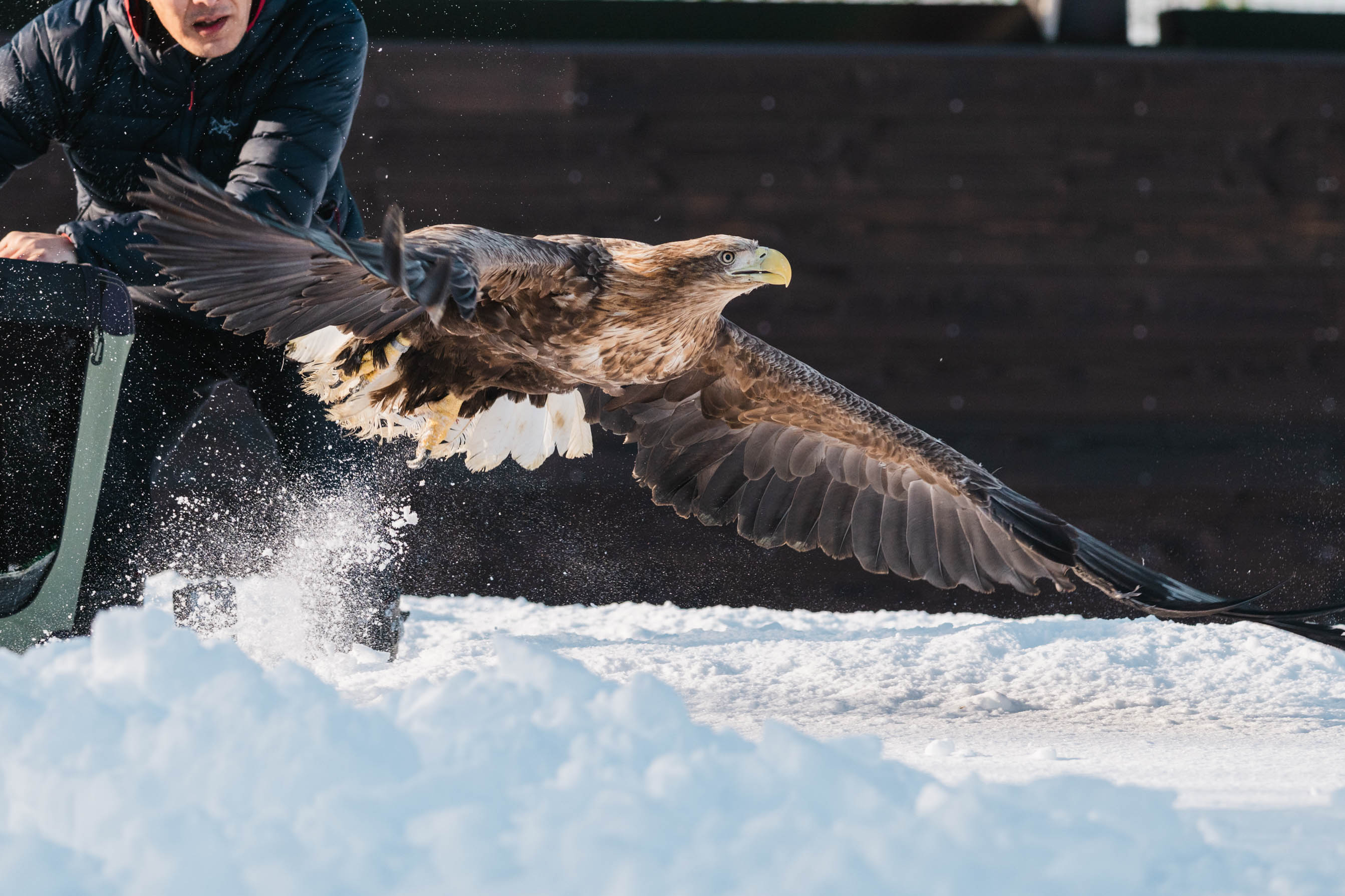 治療を終えて自然に戻る