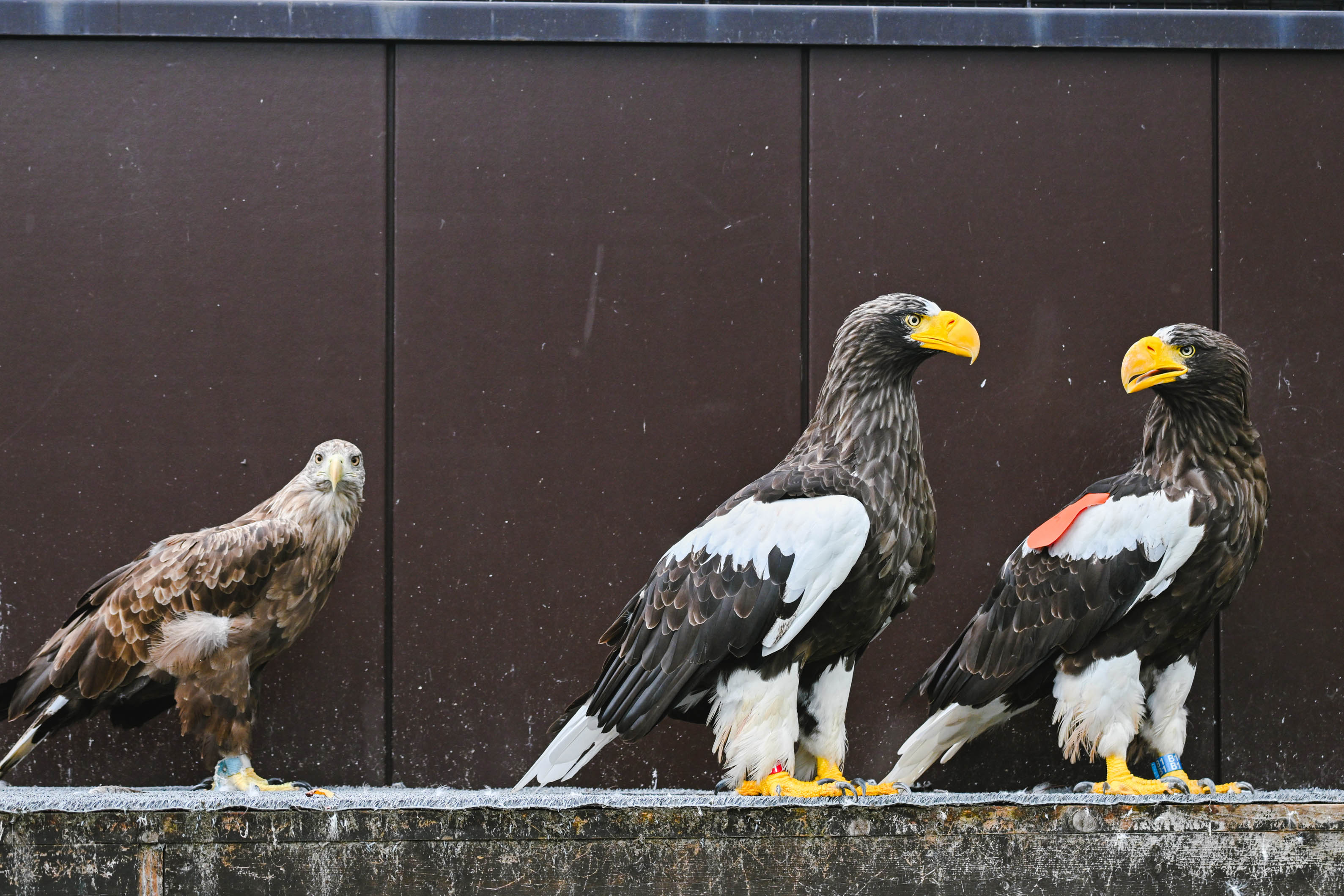 施設での生活の様子