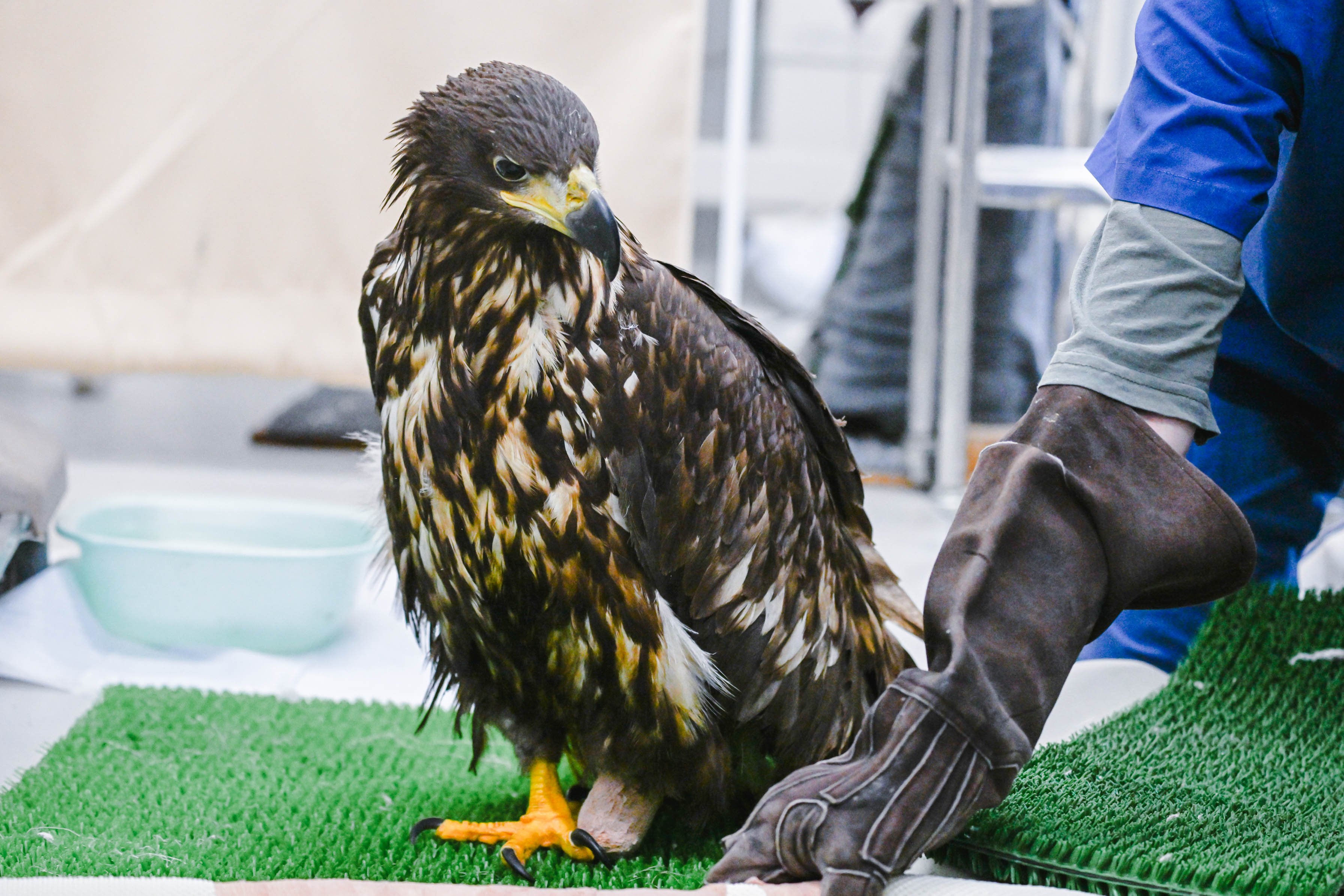 施設での生活の様子