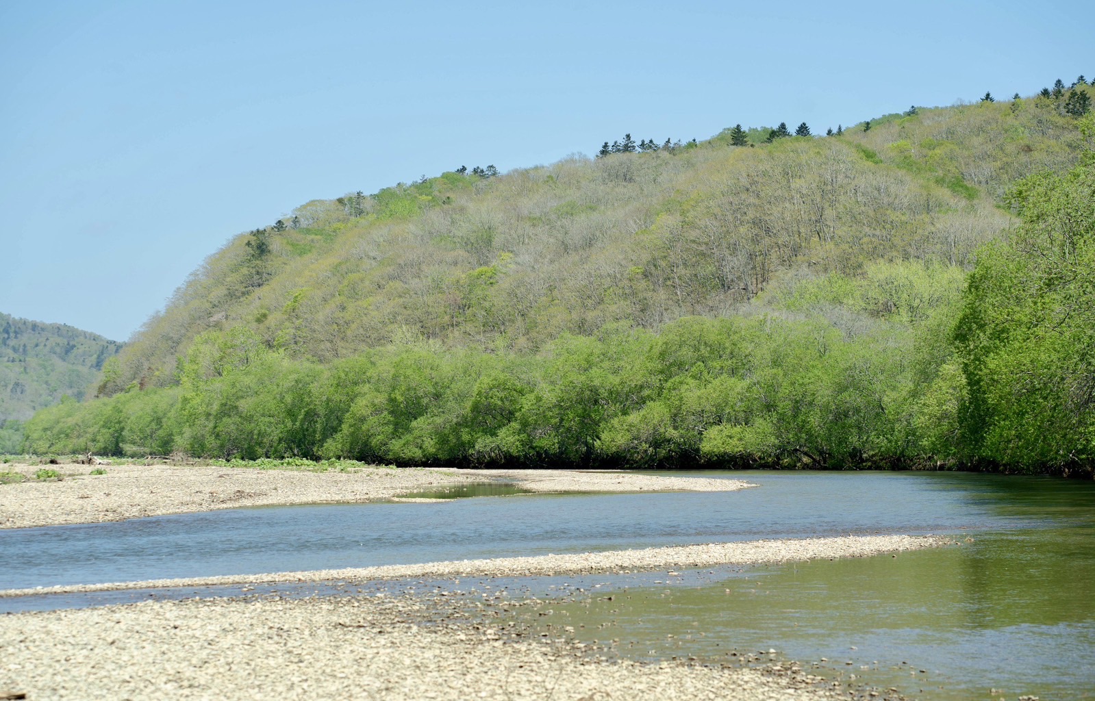 音別川の清らかな流れ