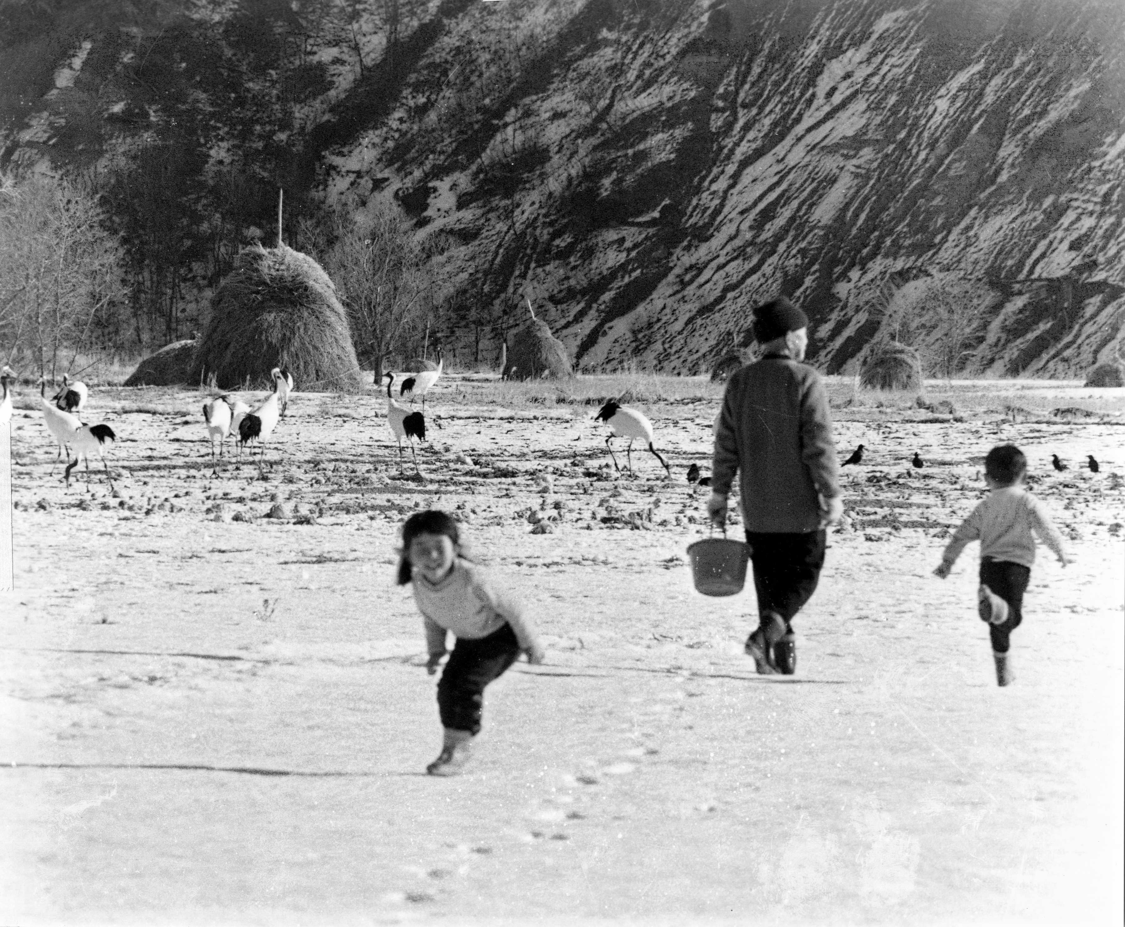 人工給餌の様子